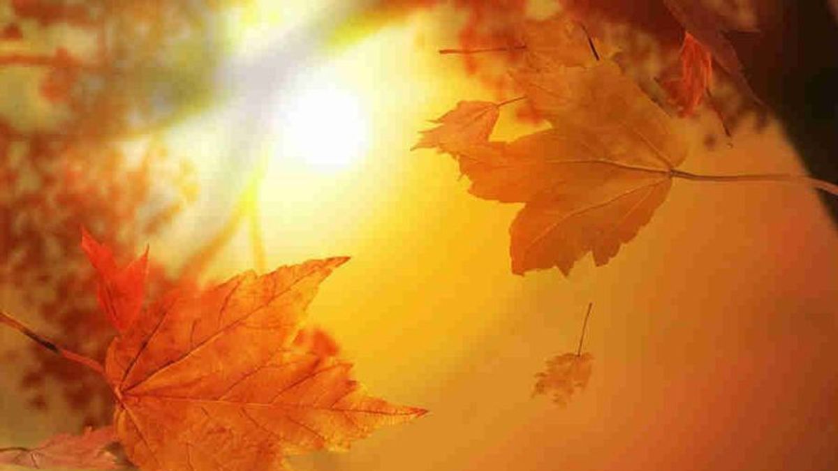 「秋」字如何解?再聽漢字偵查課說。 「秋」字如何解?再聽漢字偵查課說。