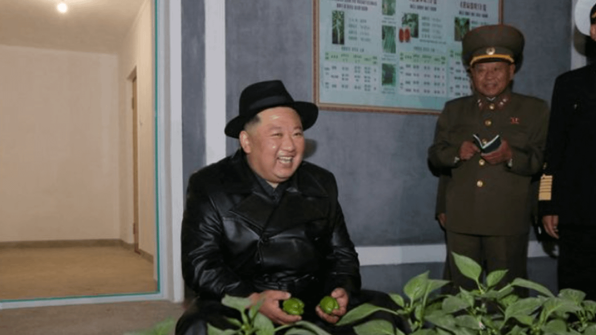 在北韓官方的北韓中央通訊社發布的照片中,金正恩本月初在一個溫室農場的開幕式上。(照片來源:北韓中央通訊社) 在北韓官方的北韓中央通訊社發布的照片中,金正恩本月初在一個溫室農場的開幕式上。(照片來源:北韓中央通訊社)