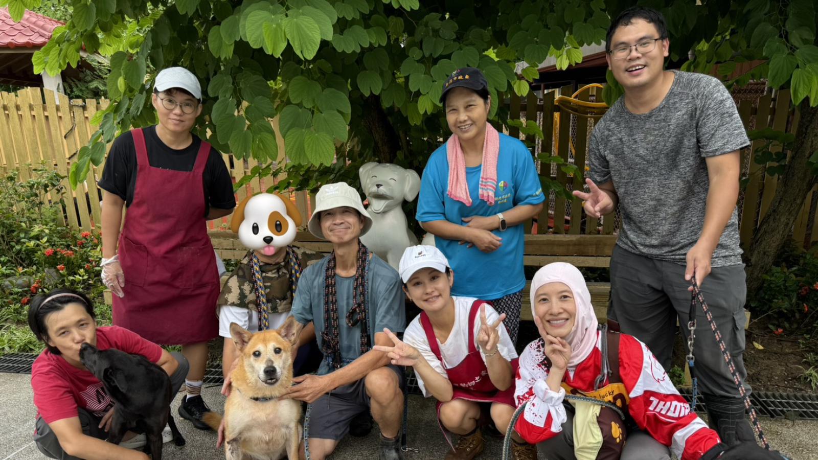 8歲中和動物之家「豆豆」 跨越太平洋赴美 開啟幸福下半場