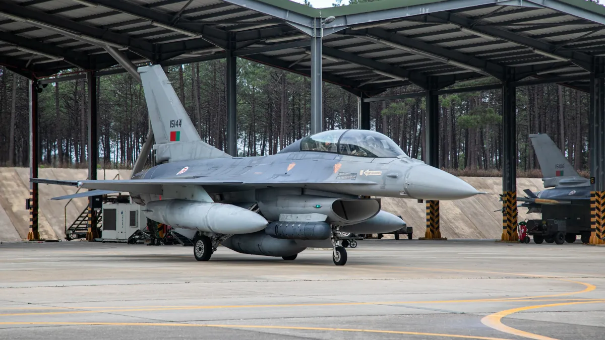 參與跨國聯合演習的葡萄牙F-16戰機。(翻攝自葡萄牙國防部)
