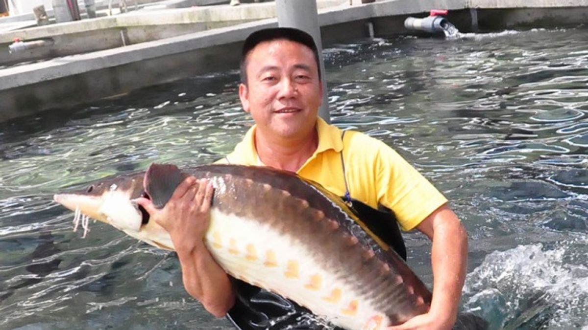 作者認為,除了農業政見外,亦應要求各縣市長候選人,提出具體的漁業政見,不要再如過去般受黨派、宗親、派系、漁會等所左右。(資料照,風傳媒) 作者認為,除了農業政見外,亦應要求各縣市長候選人,提出具體的漁業政見,不要再如過去般受黨派、宗親、派系、漁會等所左右。(資料照,風傳媒)