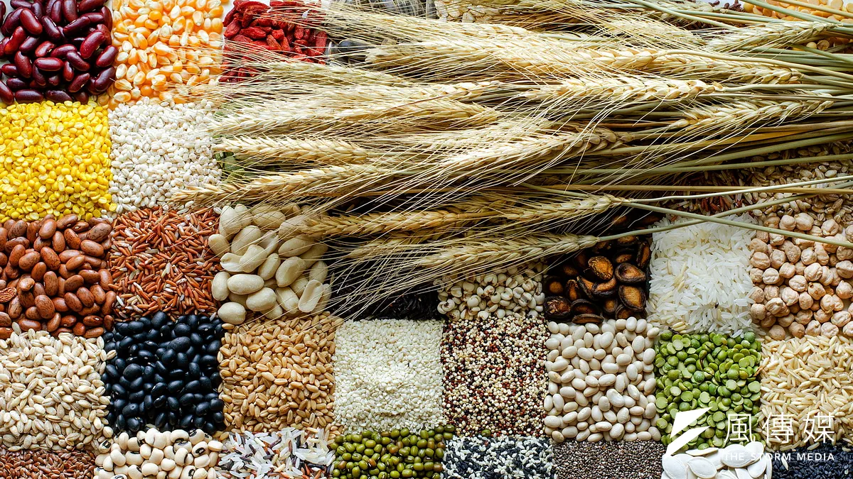 食品原料千百種,而基改食品原料只是提供消費者更多選擇權(圖片來源:shutterstock)