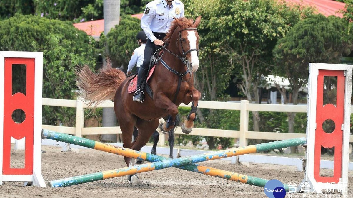 新北市騎警訓練成果驗收 隊員展現精湛騎術 新北市騎警訓練成果驗收 隊員展現精湛騎術