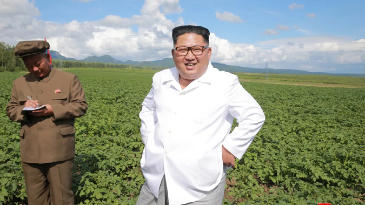龐畢歐訪北韓期間,金正恩似乎刻意下鄉察看馬鈴薯田。(取自朝中社)