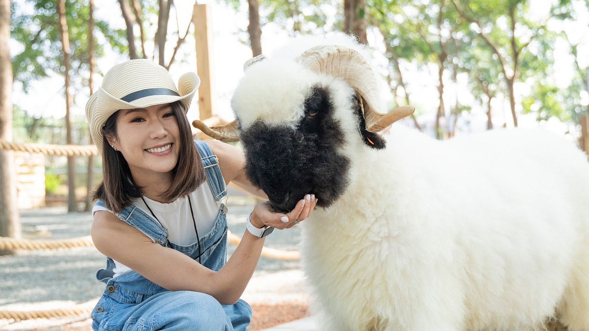 全台唯一都市的森林萌寵樂園 開幕丶髙球好手葉欣寕加入萌寵家族。(圖/嘉義Holopark羊角藝術村提供) 全台唯一都市的森林萌寵樂園 開幕丶髙球好手葉欣寕加入萌寵家族。(圖/嘉義Holopark羊角藝術村提供)
