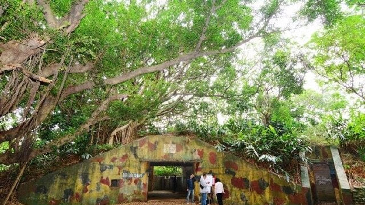 活化陸軍舊砲陣地 桃市編2000萬元作綠美化工程 活化陸軍舊砲陣地 桃市編2000萬元作綠美化工程