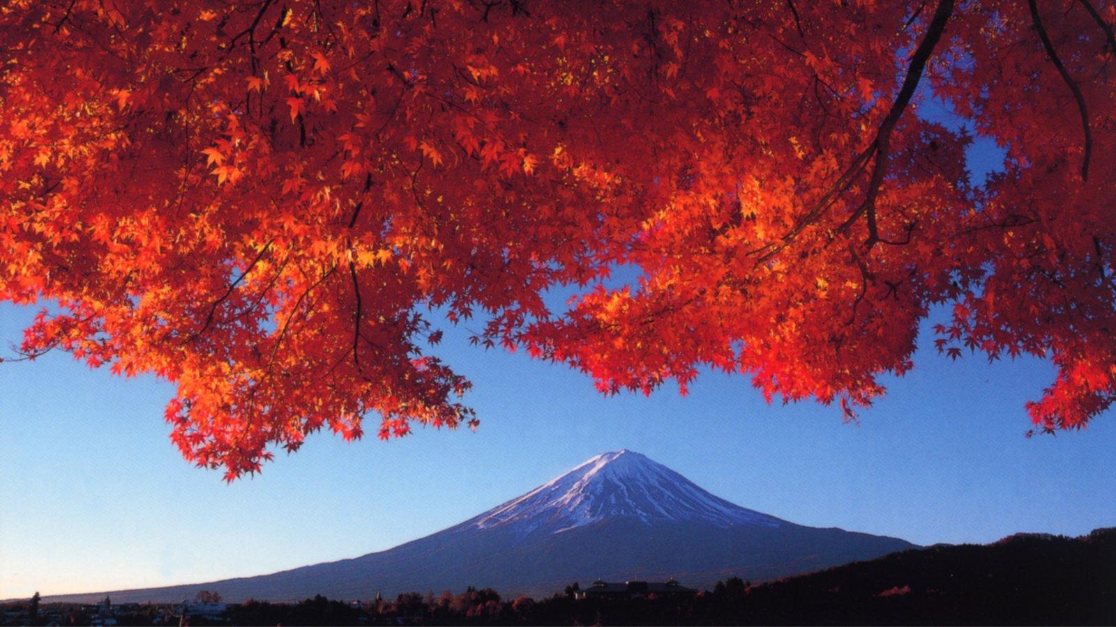 追楓前線推進!日韓紅葉季開跑 可樂旅遊解鎖纜車、遊船、星級美味新玩法