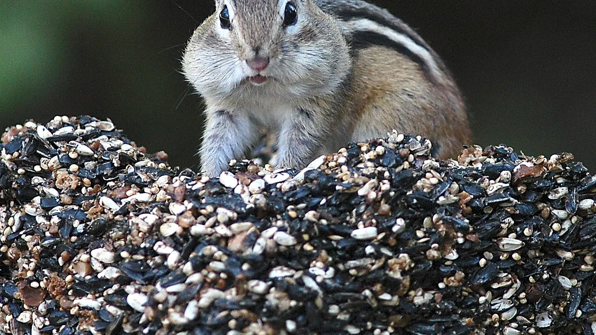 (示意圖)美國許多州分的民眾近日皆收到疑似寄自中國的神祕包裹。(AP)