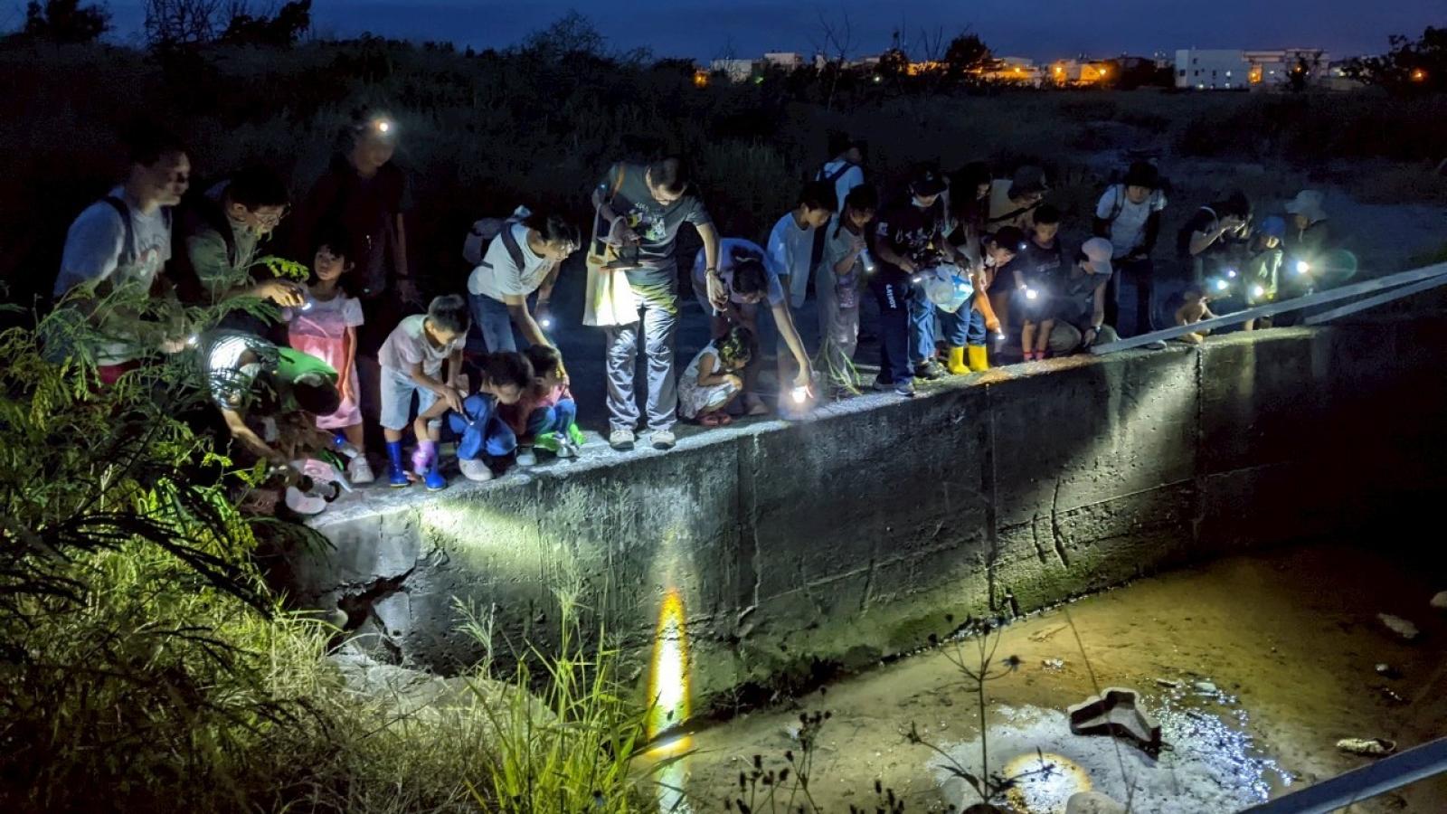 中市農業局推出日間導覽及夜間陸蟹保育體驗 探索高美濕地生物多樣性