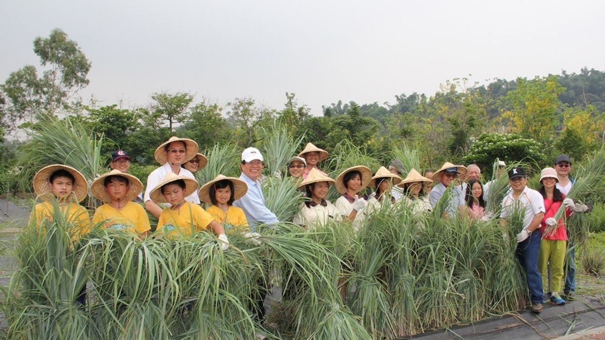 推動精油親體驗 嘉大一條龍產業化 推動精油親體驗 嘉大一條龍產業化