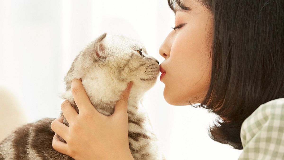 為人母:《詩人廣場的貓》選摘(2)