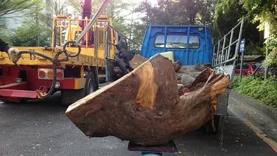 木頭飄香氣露餡 「山老鼠」加油巧遇員警遭逮