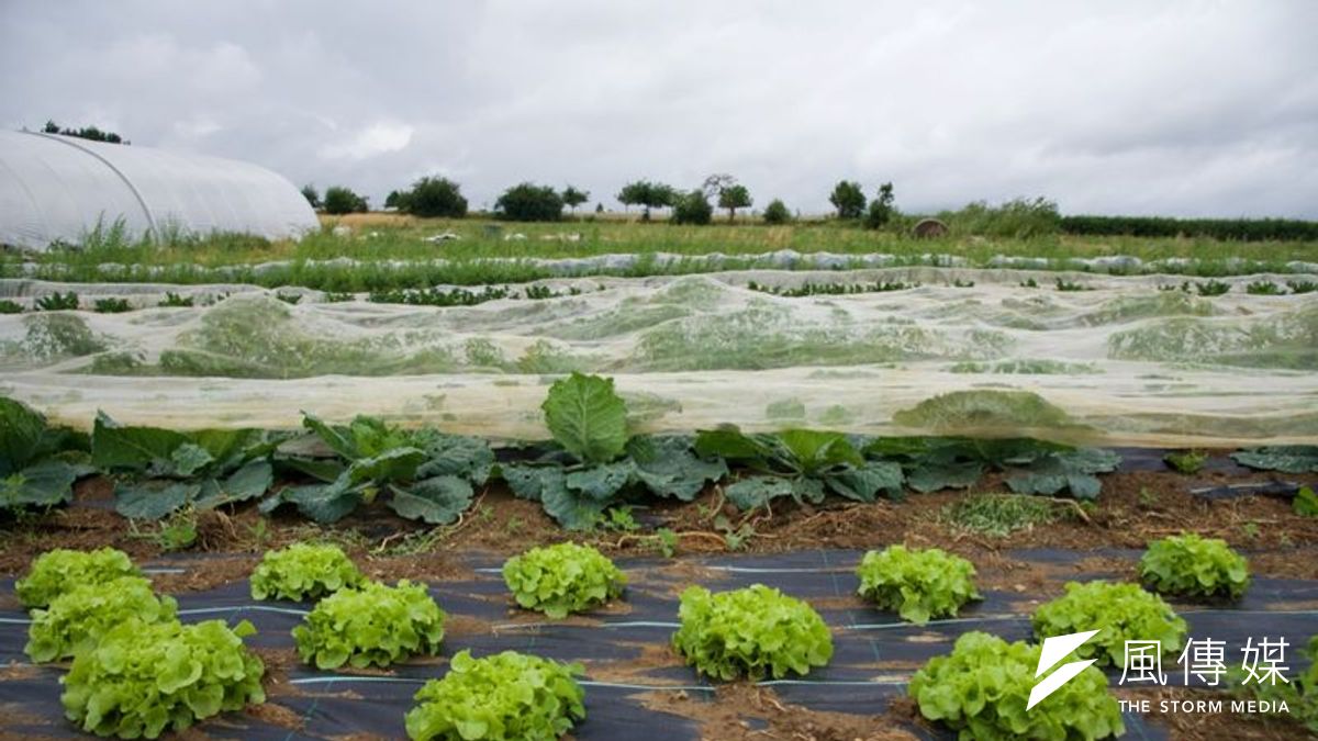 位於盧森堡Beckerich的有機農場。(洪滋敏攝) 位於盧森堡Beckerich的有機農場。(洪滋敏攝)