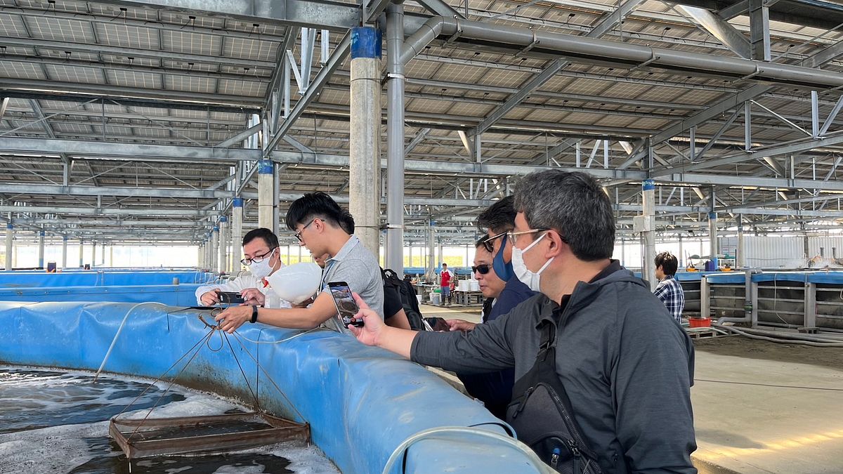 誠新集團旗下公司誠光養殖,向JA三井參訪團介紹漁電共生室內養殖白蝦的優勢,使傳統產業轉型升級 。(誠新綠能提供) 誠新集團旗下公司誠光養殖,向JA三井參訪團介紹漁電共生室內養殖白蝦的優勢,使傳統產業轉型升級 。(誠新綠能提供)