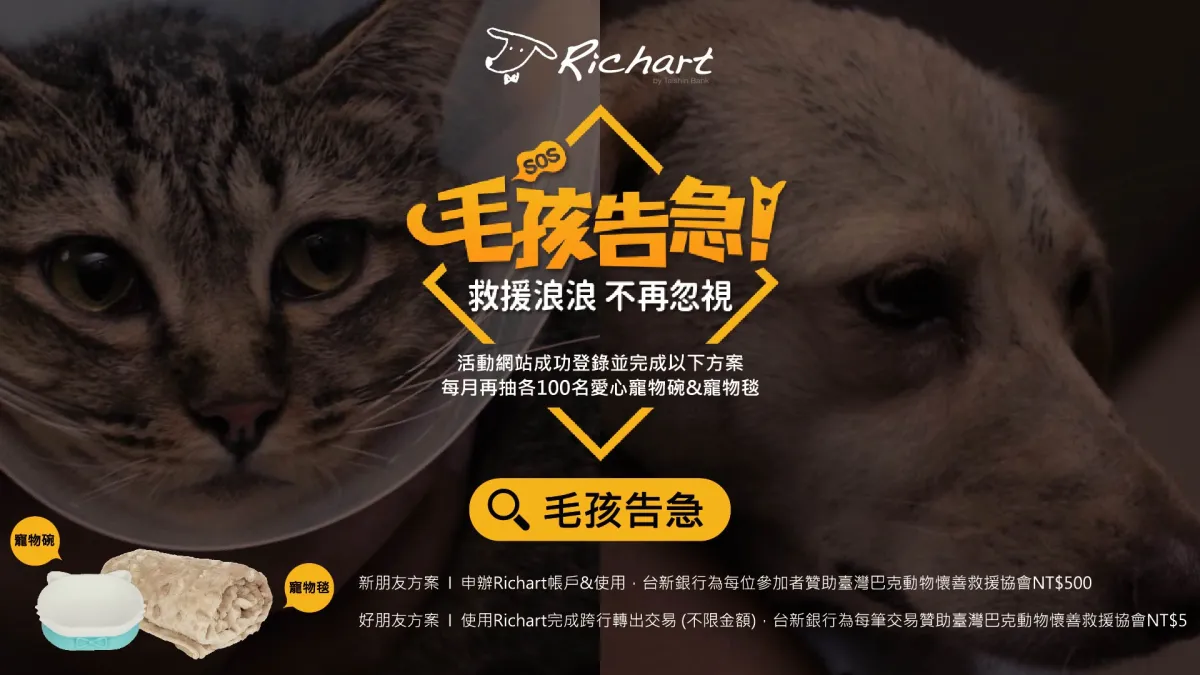 Richart邀請民眾一起守護臺灣浪浪(圖/台新銀行提供)