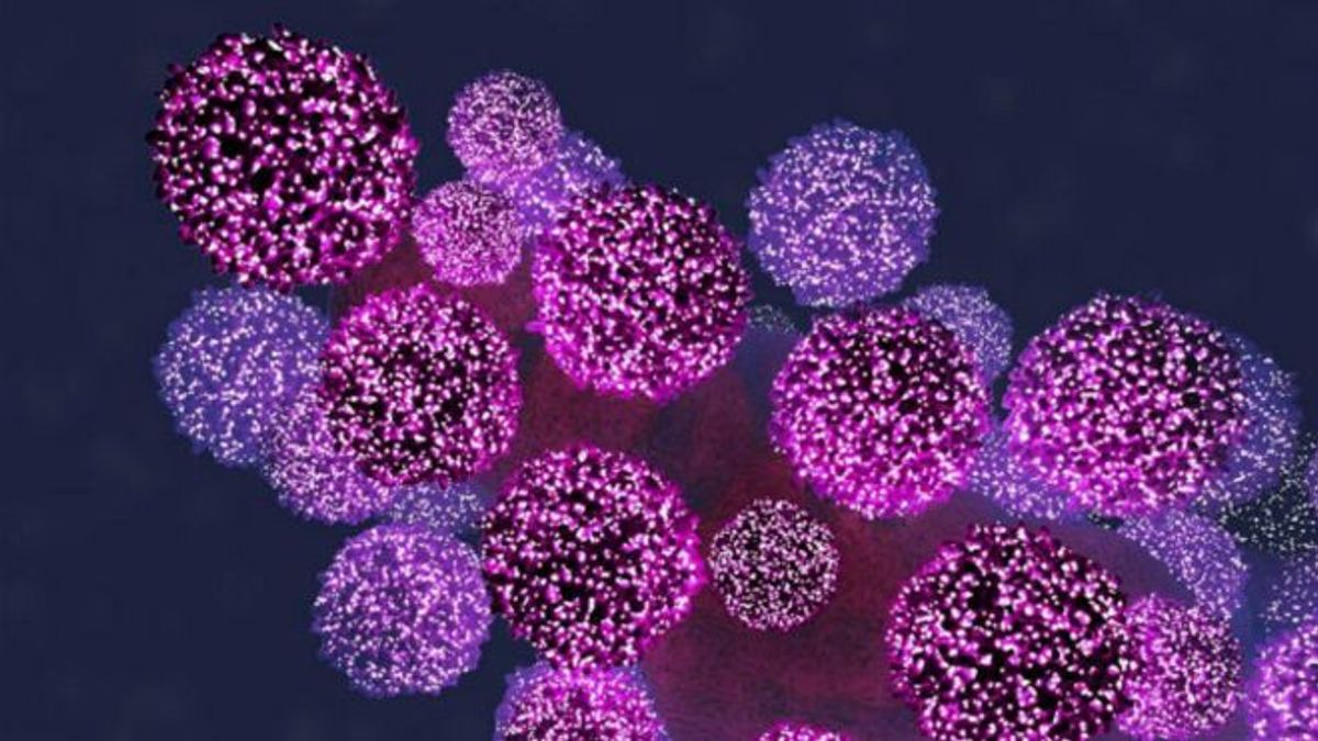 BBC分析:為何現在談論治癒愛滋病還太早?(圖取自BBC中文網) BBC分析:為何現在談論治癒愛滋病還太早?(圖取自BBC中文網)