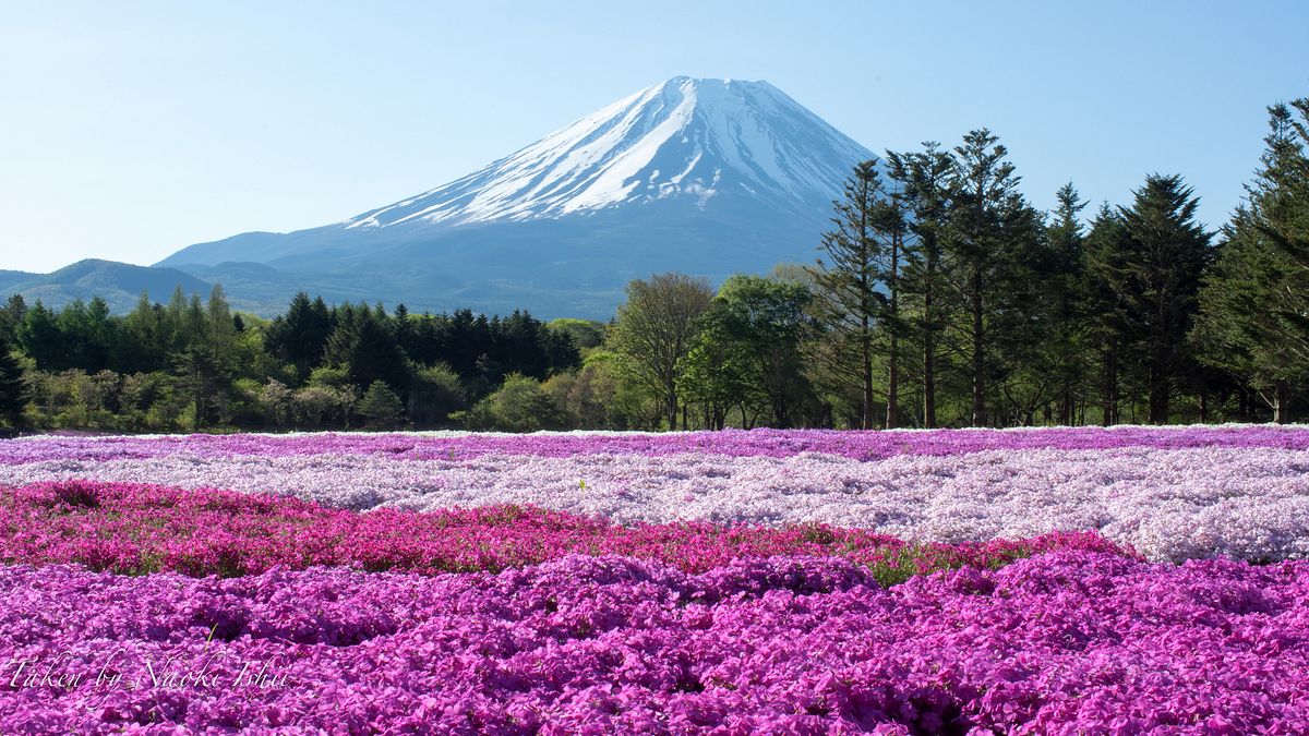 日本富士山是世界文化遺產之一(圖/Naoki Ishii@flickr) 日本富士山是世界文化遺產之一(圖/Naoki Ishii@flickr)