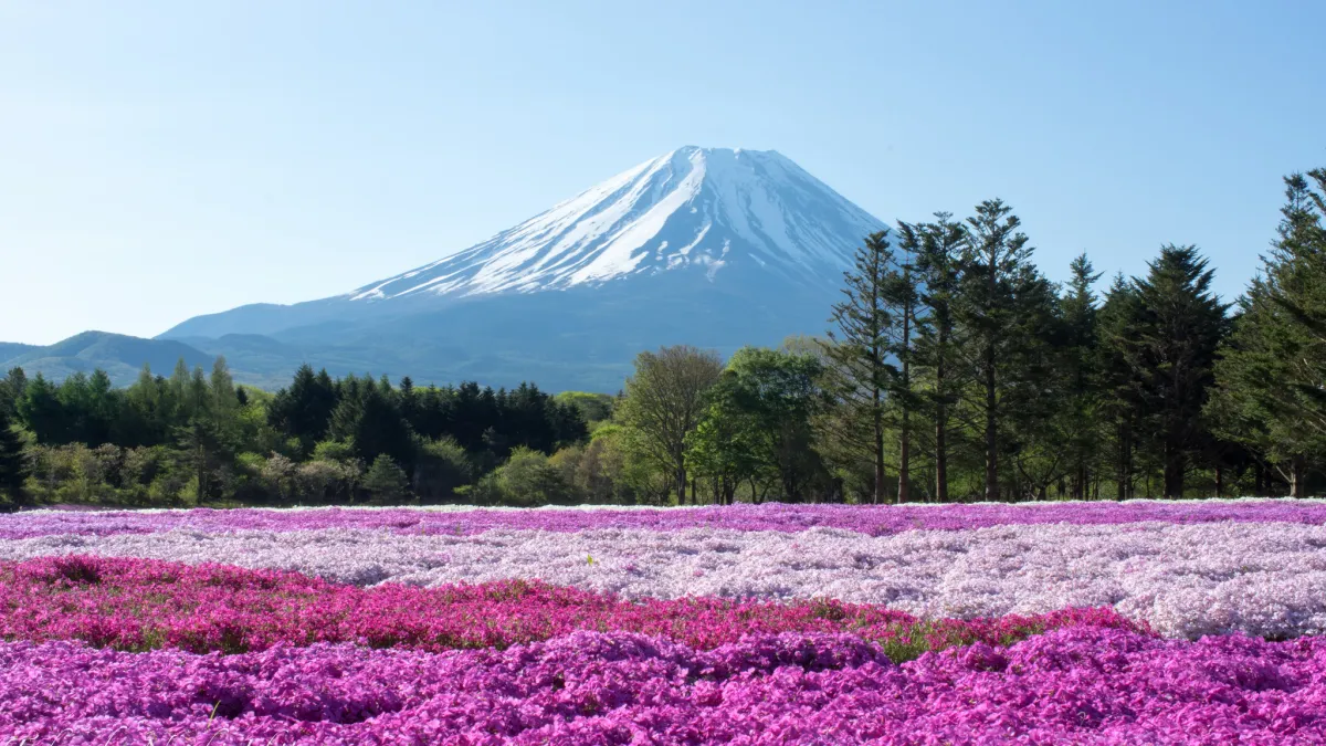 日本富士山是世界文化遺產之一(圖/Naoki Ishii@flickr)