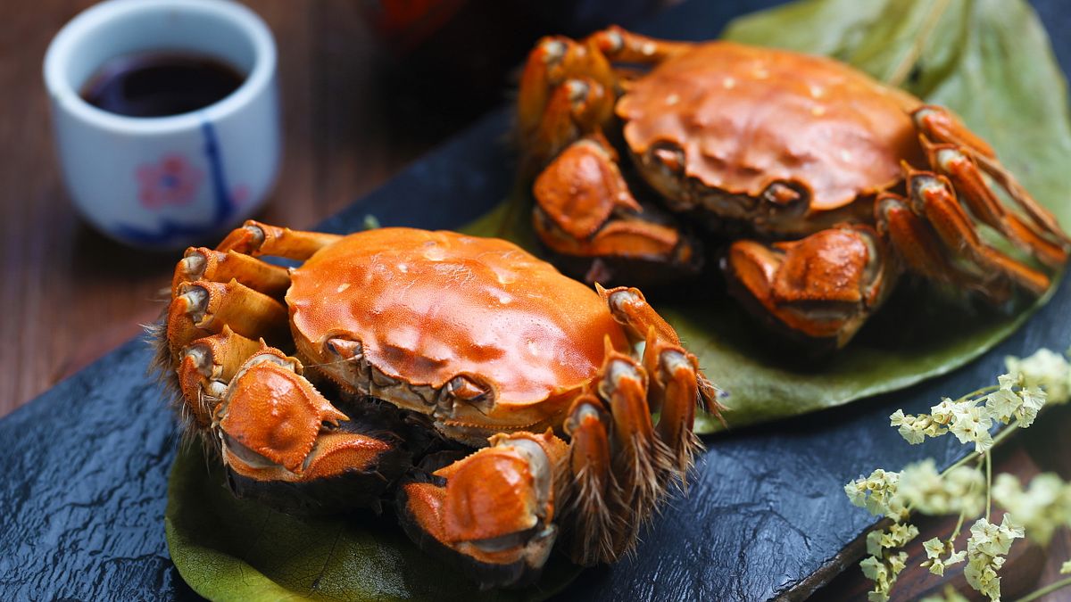 調查揭露深受民眾喜愛的台灣十大人氣螃蟹,從外觀辨識、肉質特色到料理建議一次看懂。(示意圖/取自freepik) 調查揭露深受民眾喜愛的台灣十大人氣螃蟹,從外觀辨識、肉質特色到料理建議一次看懂。(示意圖/取自freepik)