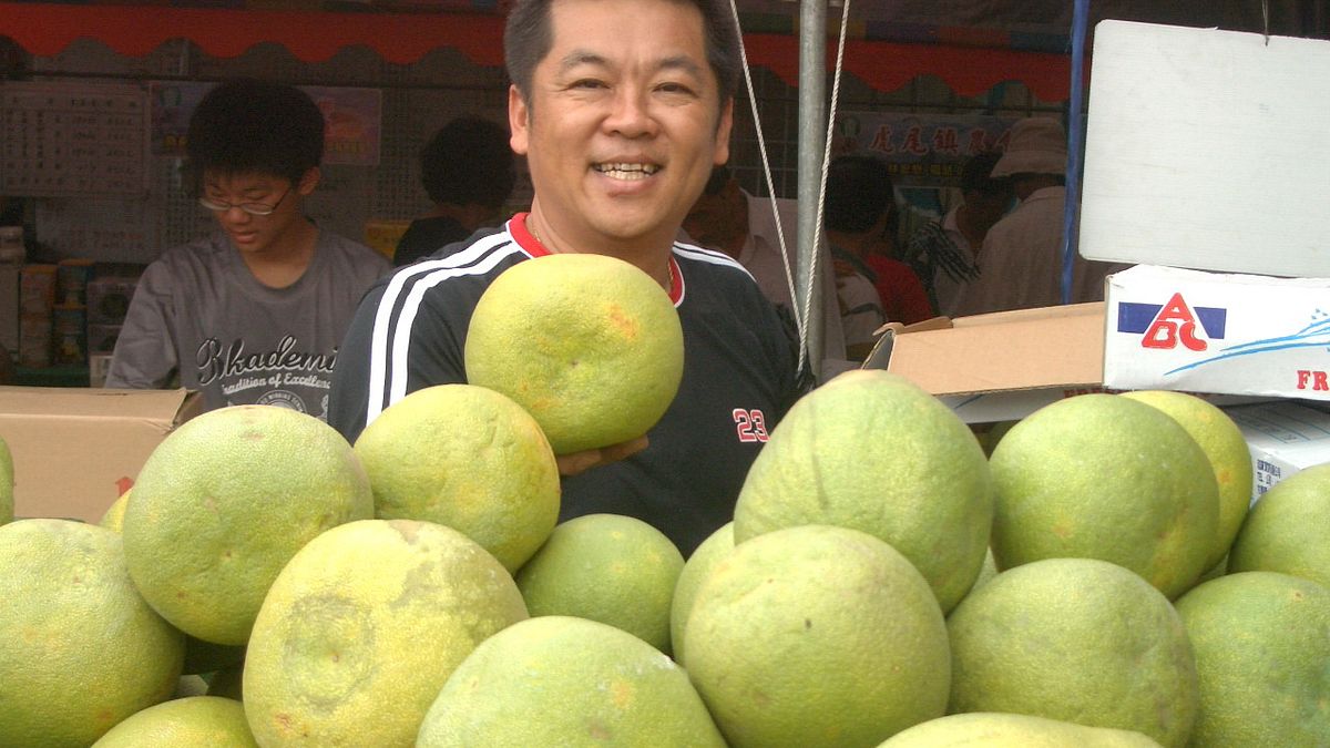 迎中元 台南假日農市9/2、9/3農特產文旦特賣 迎中元 台南假日農市9/2、9/3農特產文旦特賣