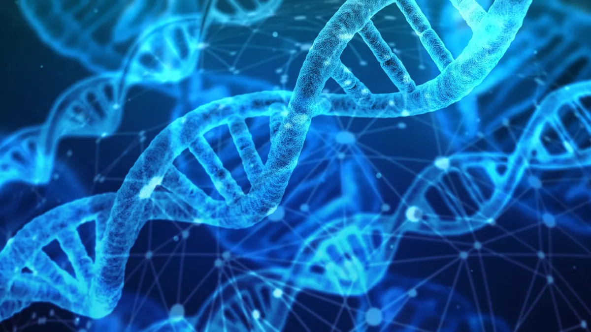 英國劍橋大學科學家重新編寫大腸桿菌的DNA。(pixabay)