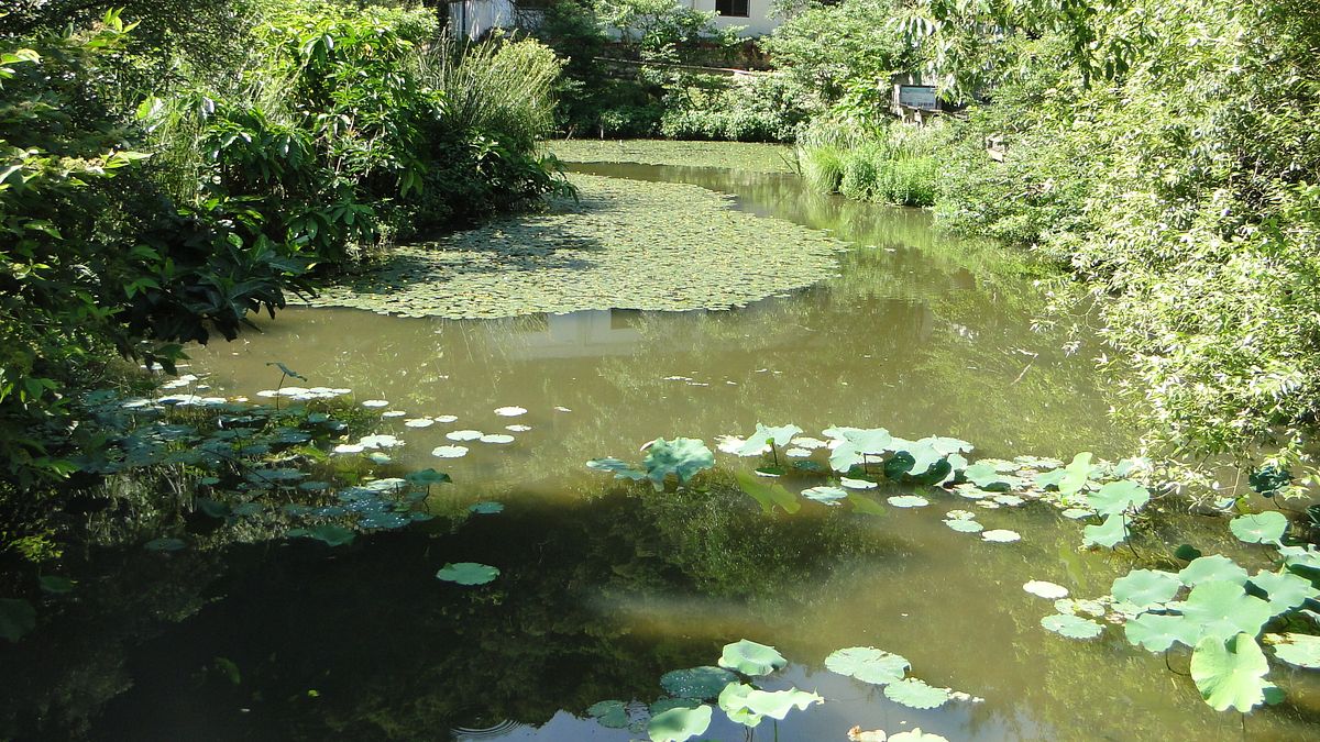 北投丹鳳山崇仰公園(北市府) 北投丹鳳山崇仰公園(北市府)