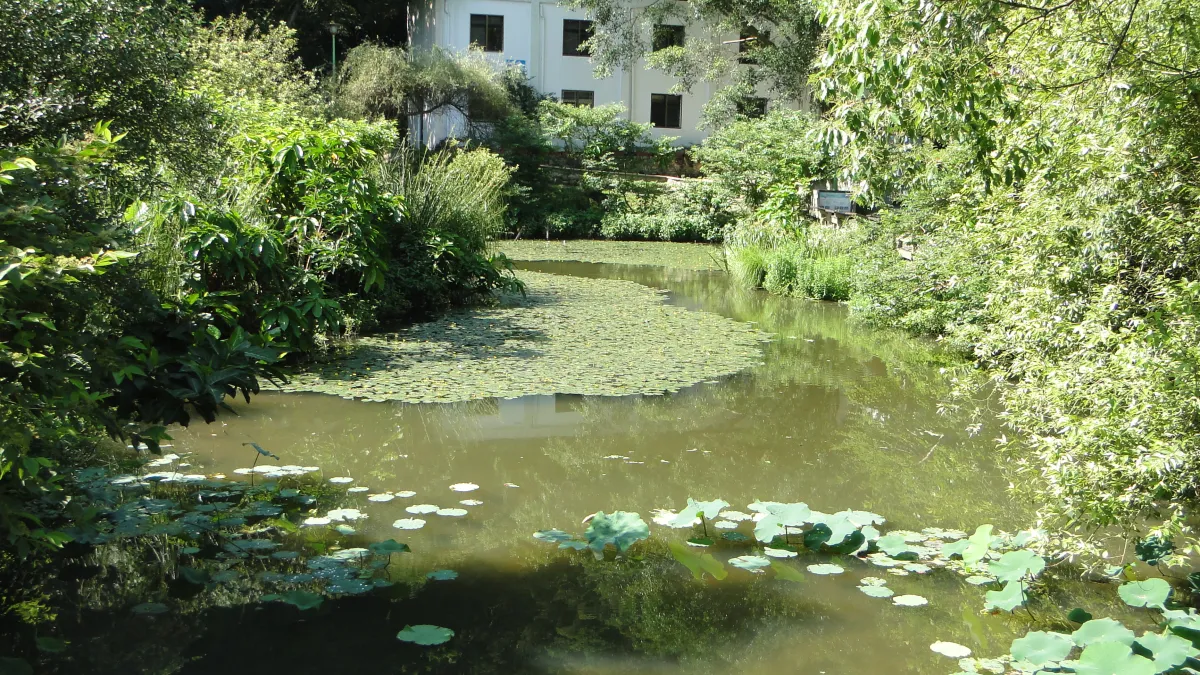 北投丹鳳山崇仰公園(北市府)