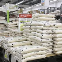 日本での米不足問題は一年が経過しても改善の兆しが見えない。(写真/AP通信) 日本での米不足問題は一年が経過しても改善の兆しが見えない。(写真/AP通信)