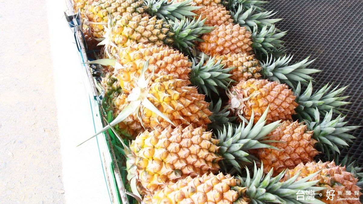 南投農特產地產地消 25日於台北建國花市開跑 南投農特產地產地消 25日於台北建國花市開跑