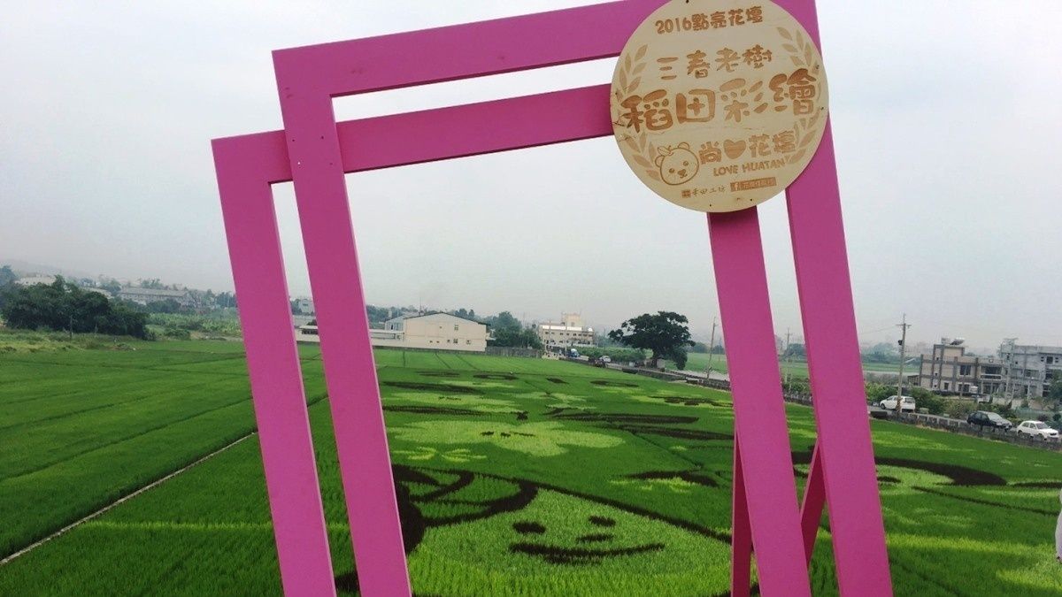 稻田彩繪再度點亮花壇鄉 吸引眾多遊客包車前來參訪 稻田彩繪再度點亮花壇鄉 吸引眾多遊客包車前來參訪