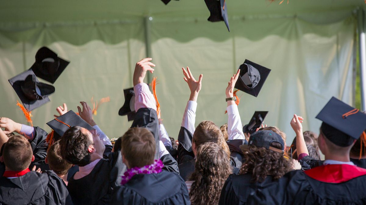 不是中文歷史!讀大學1科系遭罵「沒出息、被AI取代」,過來人曝慘況後悔:9成都吃土