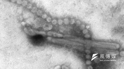 中國宣布已成功研發全球第一種可預防人類感染H7N9禽流感病毒的疫苗株(取自網路)