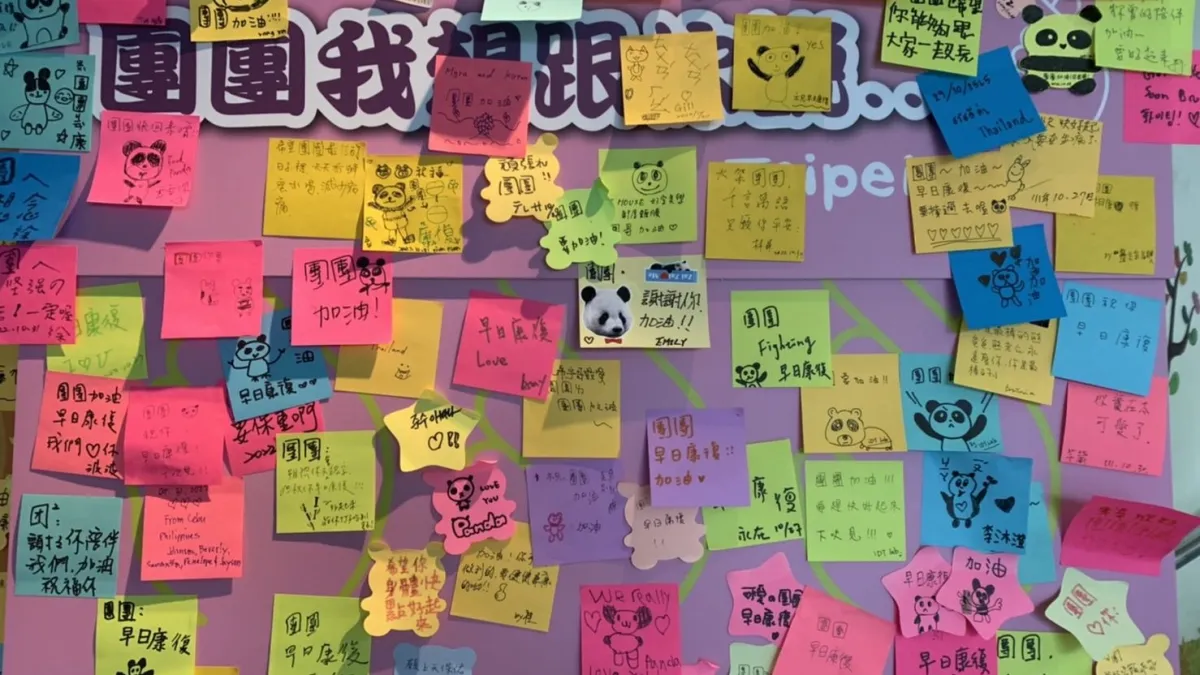 北市動物園於大貓熊館出口處設置『「團團」我想跟你說』專區,邀民眾一起為「團團」祈福集氣。(圖/臺北市政府教育局提供)