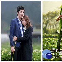 陽明山竹子湖海芋季 3/24浪漫登場 陽明山竹子湖海芋季 3/24浪漫登場