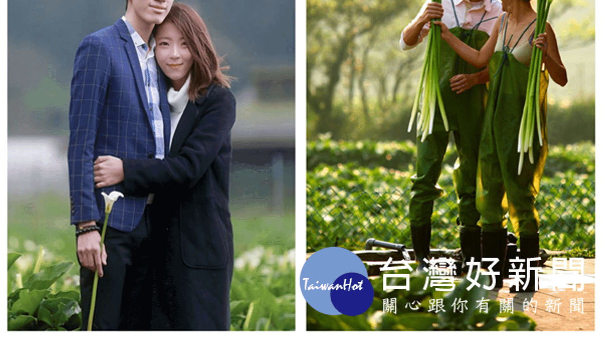 陽明山竹子湖海芋季 3/24浪漫登場 陽明山竹子湖海芋季 3/24浪漫登場