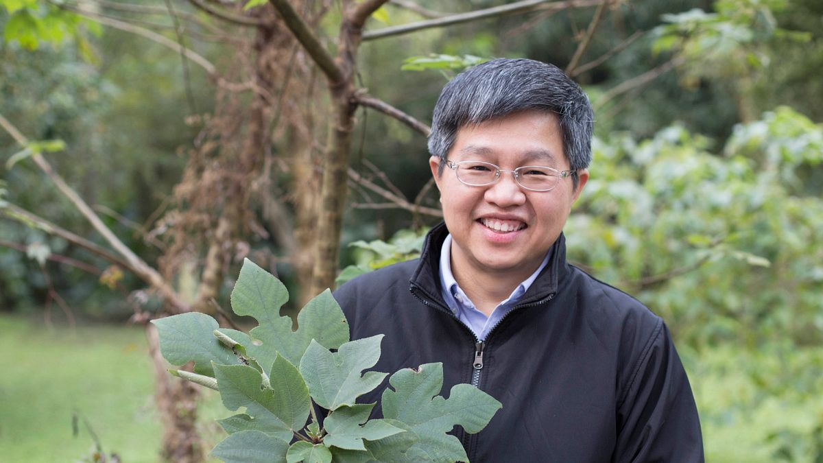 對於從構樹葉綠體基因描繪出南島語族史前航線、佐證「出臺灣說」的研究過程,鍾國芳認為是「努力與幸運的結合」。(圖/張語辰,研之有物提供) 對於從構樹葉綠體基因描繪出南島語族史前航線、佐證「出臺灣說」的研究過程,鍾國芳認為是「努力與幸運的結合」。(圖/張語辰,研之有物提供)