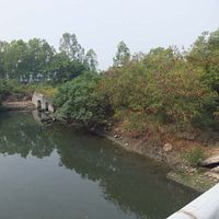 配合梓官區設置抽水站 國防部同意撥用市值約1,500萬元土地 配合梓官區設置抽水站 國防部同意撥用市值約1,500萬元土地