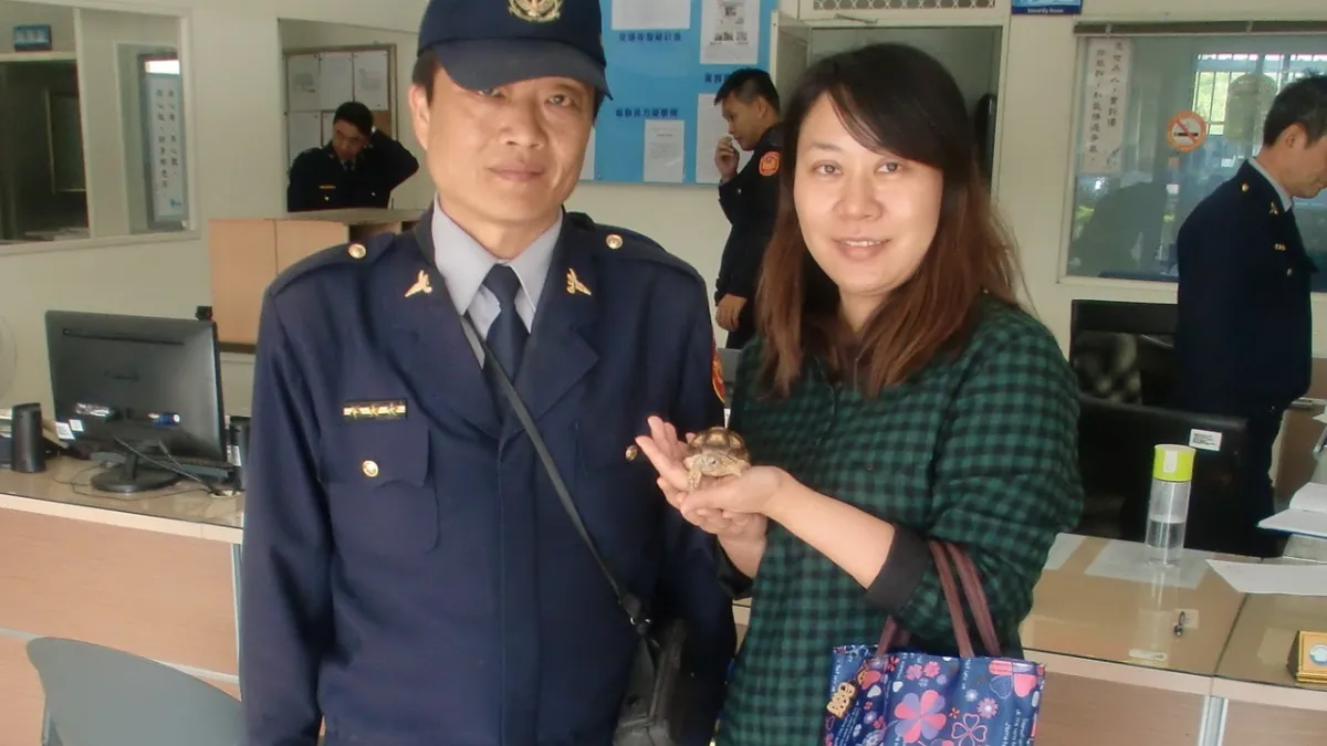 女子遺失心愛寵物龜 警沿路奔波終成功尋獲