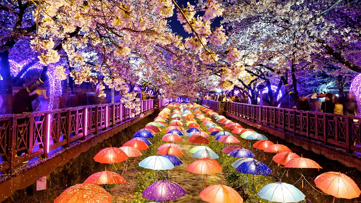 搶季節轉換市場!樂天旅遊指定住宿85折 雄獅推北半球「4大絕美花季」