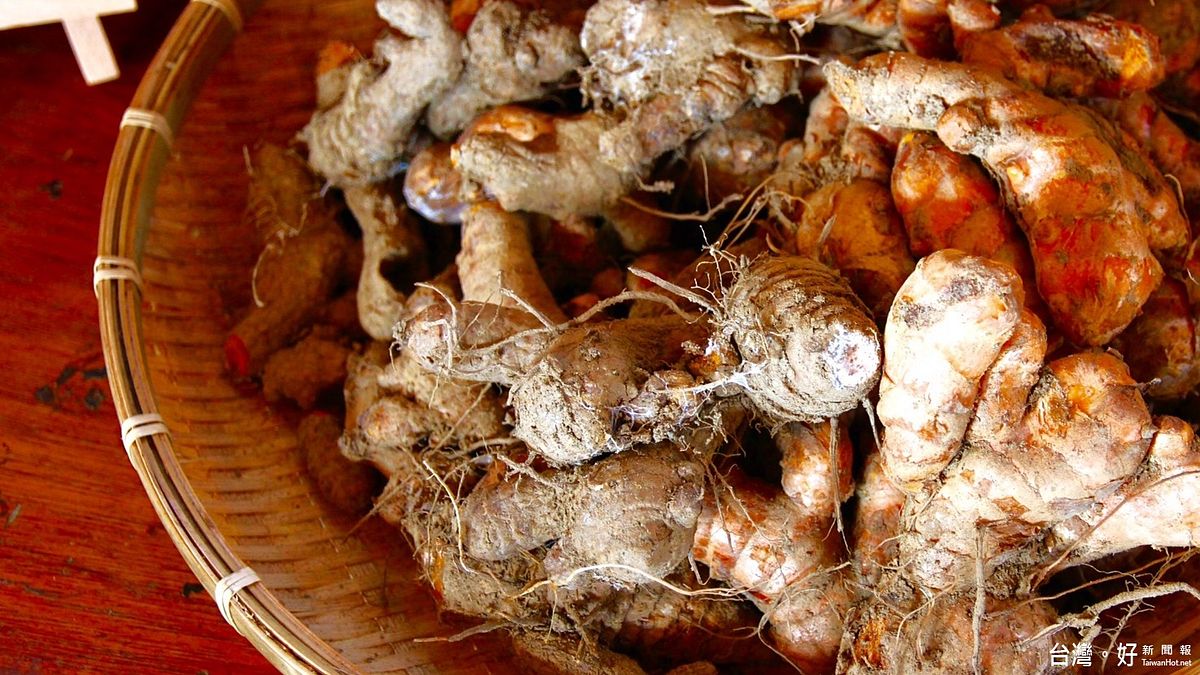 冬日出遊兼取暖 大湖薑麻園等你嘗好料 冬日出遊兼取暖 大湖薑麻園等你嘗好料