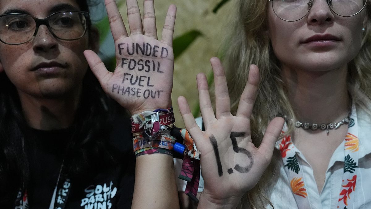 蔡維哲觀點:從 COP30 看台灣減碳─深化轉型金融與創造民資參與環境,務實協助產業邁向淨零