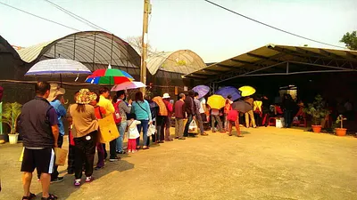 響應百萬植栽政策 南屯苗圃領苗民眾踴躍