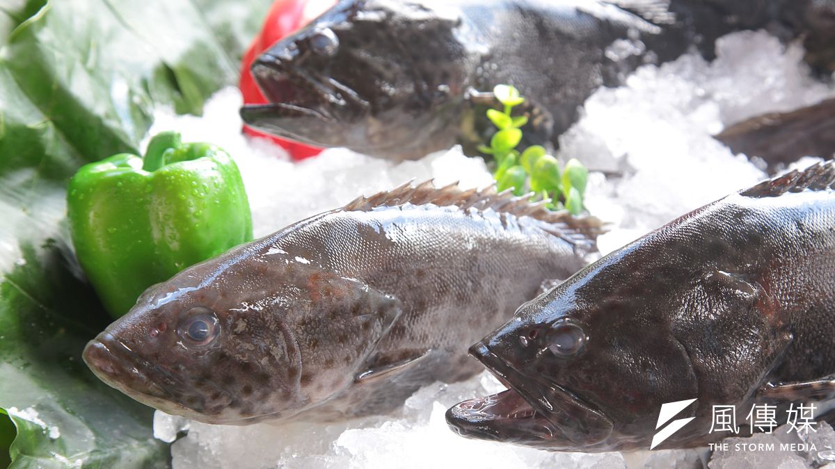 中國商務部就對台展開貿易壁壘調查,台灣農產品首當其衝,顯然北京不演了,擺明要公開介入台灣選戰。(顏麟宇攝) 中國商務部就對台展開貿易壁壘調查,台灣農產品首當其衝,顯然北京不演了,擺明要公開介入台灣選戰。(顏麟宇攝)