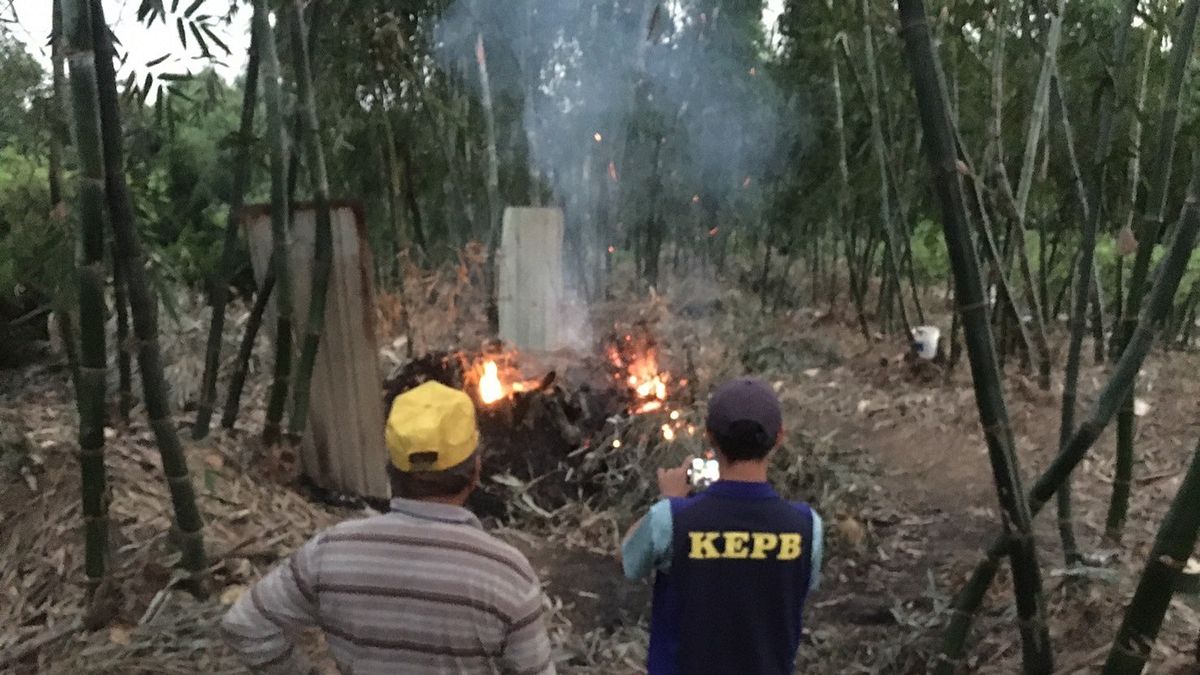 環保局稽查人員現場查獲露天燃燒情形。(圖/高雄市環保局提供) 環保局稽查人員現場查獲露天燃燒情形。(圖/高雄市環保局提供)