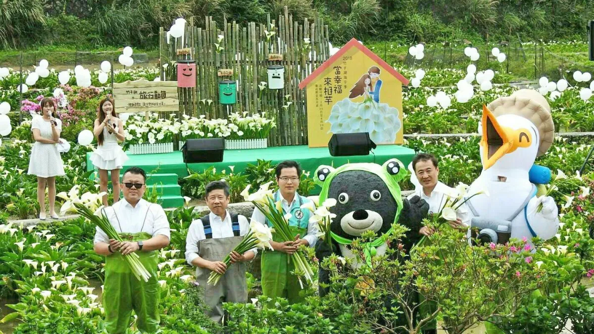 2018竹子湖海芋季於30日開幕,與會貴賓體驗採海芋活動。(台北市政府提供)