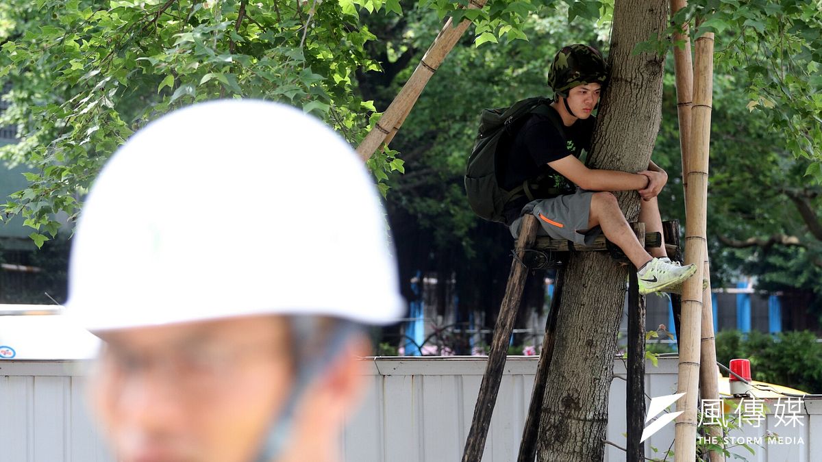 台北市政府、遠雄今天將進行大巨蛋周圍33棵行道樹斷根工程,護樹團體不滿遠雄公安未改善完成、也未重新議約就要移樹,在遠雄、市府人員現勘時,爬上樹抗議。(蘇仲泓攝) 台北市政府、遠雄今天將進行大巨蛋周圍33棵行道樹斷根工程,護樹團體不滿遠雄公安未改善完成、也未重新議約就要移樹,在遠雄、市府人員現勘時,爬上樹抗議。(蘇仲泓攝)