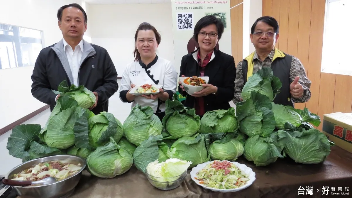高麗菜大盛產 農糧署推線上銷售免運費宅配到府