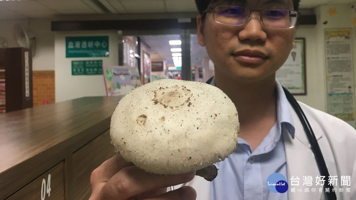 路邊毒菇採來吃 全家上吐下瀉送醫 路邊毒菇採來吃 全家上吐下瀉送醫