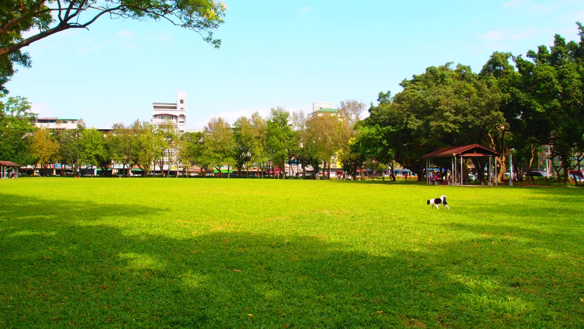 春遊首選來榮星花園 共融式遊具適合閤家同樂