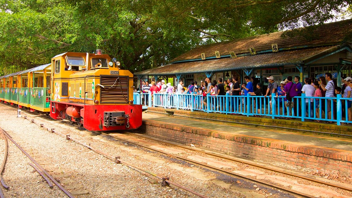 10分鐘直達會場!台糖烏樹林推「蘭展期間限定五分車」全日共14班次